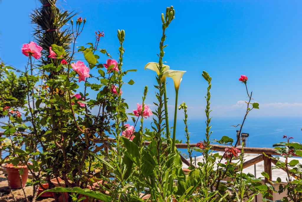 Villa Matilde Amalfi Esterno foto